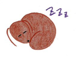 Daily Gon-chan sticker #2646665