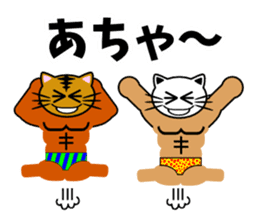 Macho cat dancer 2 sticker #2647319