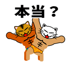 Macho cat dancer 2 sticker #2647353
