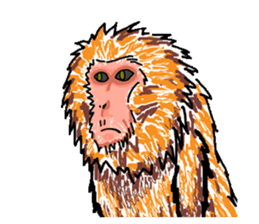 SalsaruMonkeyS sticker #2649949