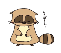 Daily life of the raccoon-kun sticker #2651697