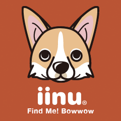 iinu - Pembroke Welsh Corgi