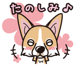 iinu - Pembroke Welsh Corgi sticker #2652556