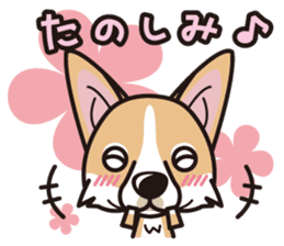 iinu - Pembroke Welsh Corgi sticker #2652556