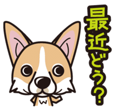iinu - Pembroke Welsh Corgi sticker #2652557