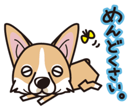 iinu - Pembroke Welsh Corgi sticker #2652566