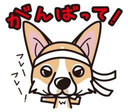 iinu - Pembroke Welsh Corgi sticker #2652573