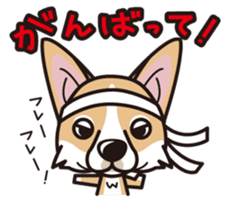 iinu - Pembroke Welsh Corgi sticker #2652573