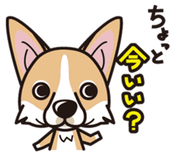 iinu - Pembroke Welsh Corgi sticker #2652582