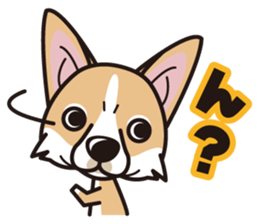 iinu - Pembroke Welsh Corgi sticker #2652583