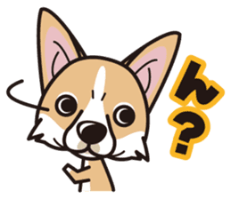 iinu - Pembroke Welsh Corgi sticker #2652583