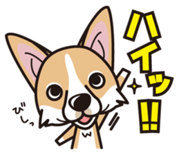 iinu - Pembroke Welsh Corgi sticker #2652589
