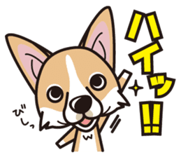 iinu - Pembroke Welsh Corgi sticker #2652589