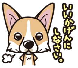 iinu - Pembroke Welsh Corgi sticker #2652591