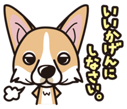 iinu - Pembroke Welsh Corgi sticker #2652591