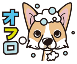 iinu - Pembroke Welsh Corgi sticker #2652592