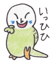 Budgerigar Peoples sticker #2654244