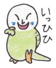 Budgerigar Peoples sticker #2654244