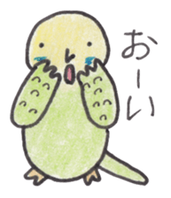 Budgerigar Peoples sticker #2654249