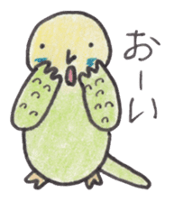 Budgerigar Peoples sticker #2654249