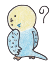 Budgerigar Peoples sticker #2654265