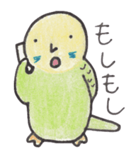 Budgerigar Peoples sticker #2654268