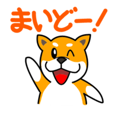 Dogs of the Kansai dialect Vol.2 sticker #2657035