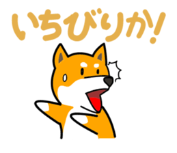 Dogs of the Kansai dialect Vol.2 sticker #2657061