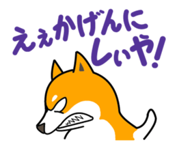 Dogs of the Kansai dialect Vol.2 sticker #2657063