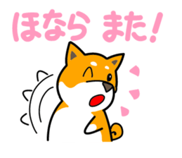 Dogs of the Kansai dialect Vol.2 sticker #2657074