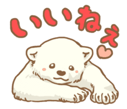 Polar bear ~ASoBU~ sticker #2658077