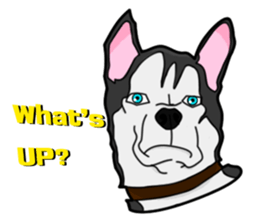 Buggy Husky sticker #2659096