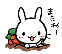 The bitter & the sweet of life catrabbit sticker #2659704