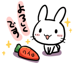 The bitter & the sweet of life catrabbit sticker #2659705