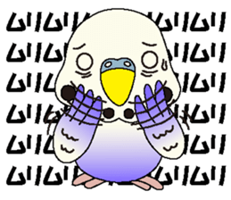 Parakeet's  P sticker #2660559