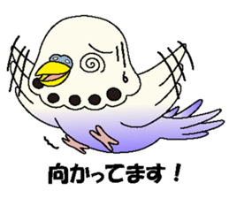 Parakeet's  P sticker #2660564