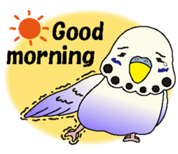 Parakeet's  P sticker #2660568