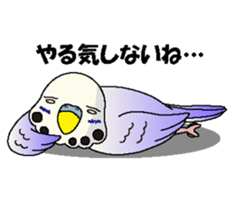 Parakeet's  P sticker #2660576