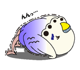 Parakeet's  P sticker #2660577