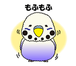 Parakeet's  P sticker #2660578