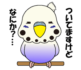 Parakeet's  P sticker #2660580