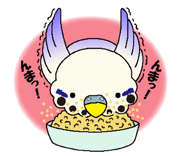 Parakeet's  P sticker #2660584