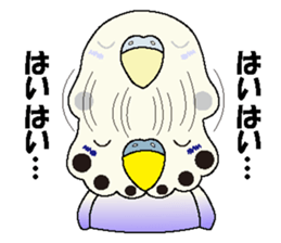 Parakeet's  P sticker #2660590