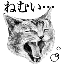 CAT! CAT! CAT! sticker #2668051