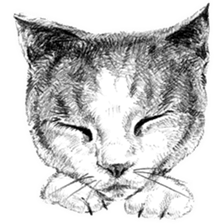 CAT! CAT! CAT! sticker #2668053