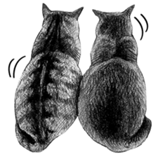 CAT! CAT! CAT! sticker #2668054