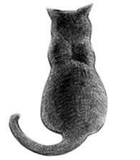 CAT! CAT! CAT! sticker #2668055