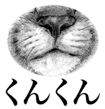 CAT! CAT! CAT! sticker #2668056