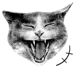 CAT! CAT! CAT! sticker #2668057