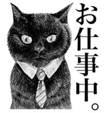 CAT! CAT! CAT! sticker #2668059